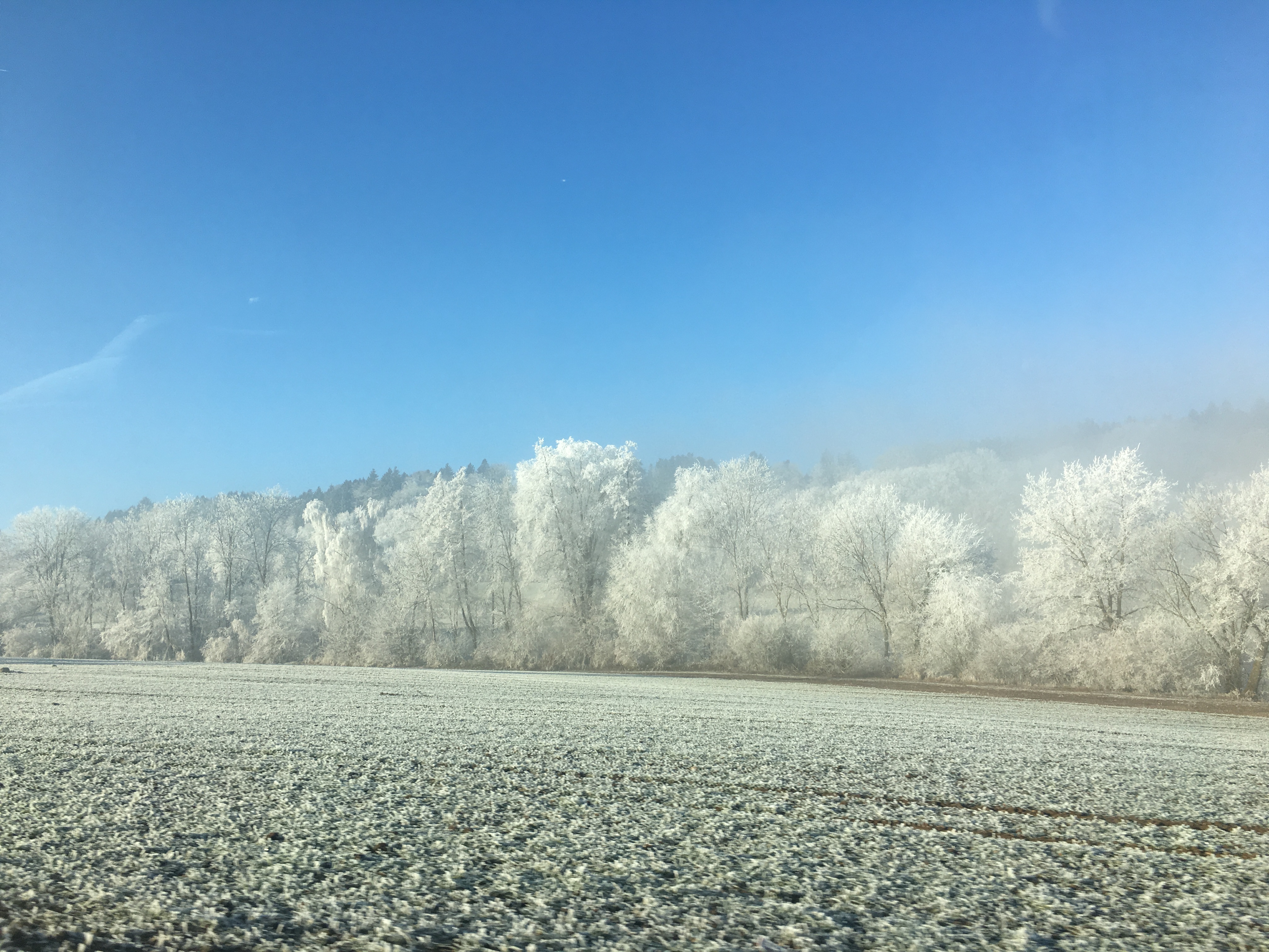 paysage enneigé avec un champ et une forêt